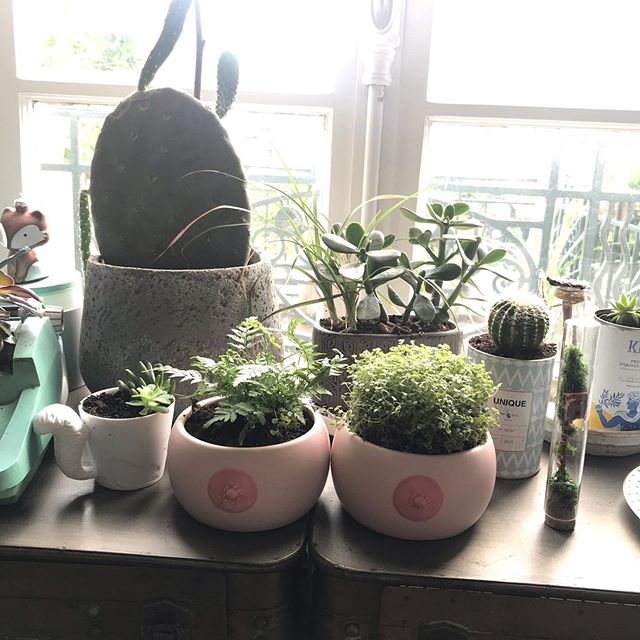 Plantes et jardineuse en folie : Cache-pots seins 1 cache-pots seins