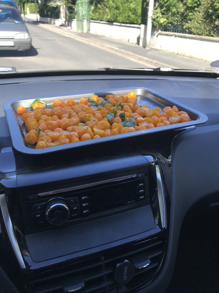 Faites vos tomates séchées dans votre voiture