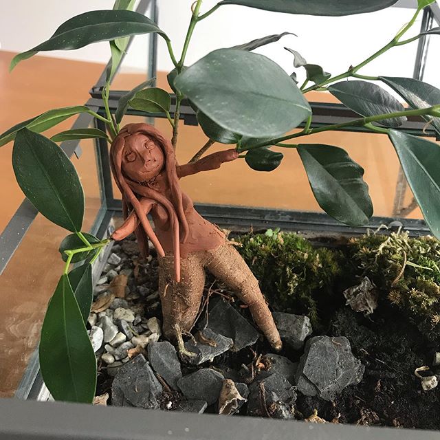 Mandragore ficus diy tuto