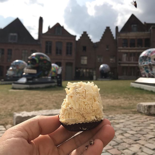 Journée à Lille chez une amie de Wuhan. Des mois (années) que je m’étais dit que je viendrai ici, et finalement, m’y voilà dans ce coin des Flandres. Ben c’est bien joli !