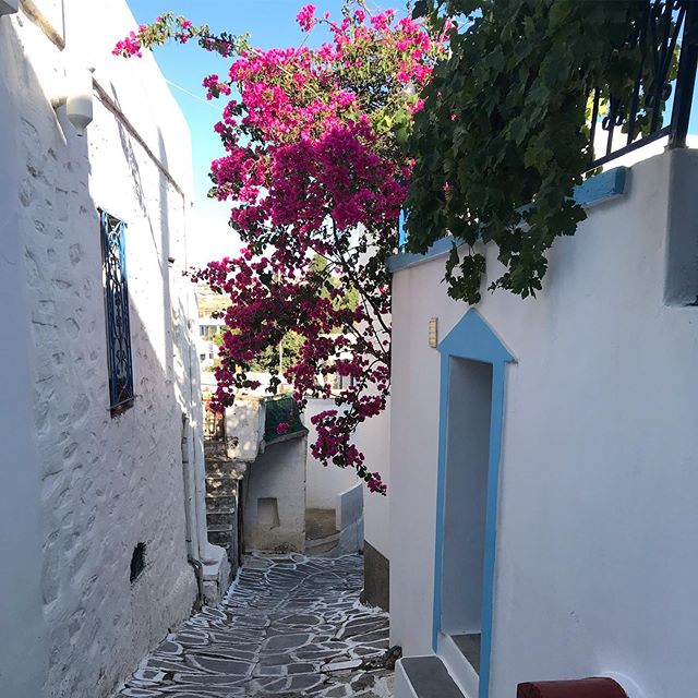 cyclade paros grece