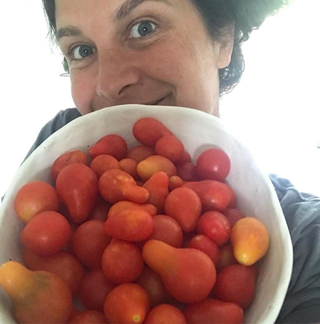 Tomates du jardin