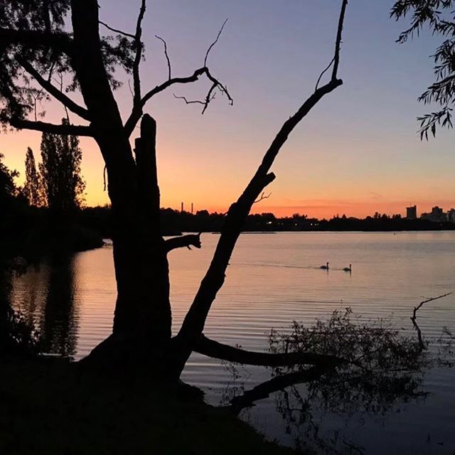 Je dis souvent que le bonheur est en banlieue, que j’adore Paris et que je ne pige pas pourquoi les gens disent que c’est difficile d’avoir des enfants par ici. En fait, je crois surtout que j’ai de bonnes lunettes. Je vois le super coucher de soleil du lac de Créteil mais pas forcément les barres d’immeubles qui l’entourent. Je serais capable de vivre en ville, à la campagne, à la mer, à la montagne. Je m’adapterais. En France, on a cette chance folle : il fait bon vivre partout je crois. Même sans lunette ;). #lebonheurestenbanlieue #lacdecreteil #france