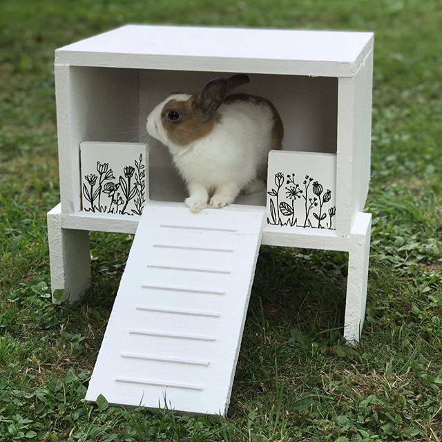 fabrication cabane en bois pour lapin