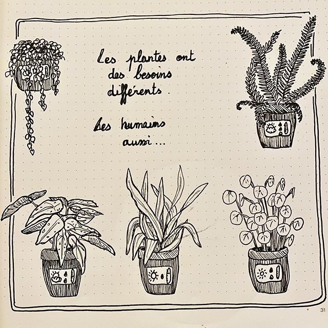 Les plantes ont des besoins différents. Les humains aussi.