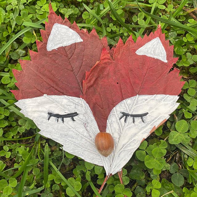Deux feuilles ramassées lors de ma marche dominicale transformée en renard de ma créativité. La joie du dehors rapportée dans le dedans de ma maison :). #landart #foxes #renard #automne #ciloubidouille