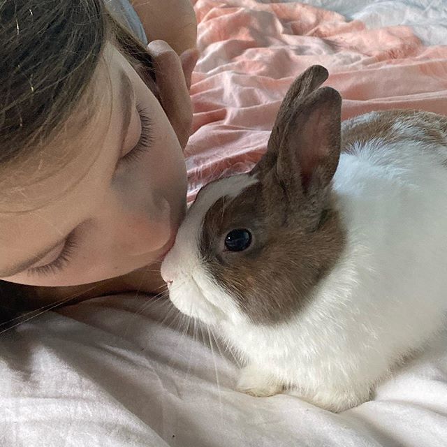 Est-ce qu’elle est contente d’avoir un lapin ? Je me le demande, ce n’est pas super clair ^^ ! Quant à moi, je ne me sens pas très attirée à l’idée de le prendre dans mes bras, ou de faire des câlins, toussa toussa. Mais je suis attentive à son bien-être et je veille sur lui autrement. Projet prochain : lui construire un enclos pour qu’il puisse se dégourdir les pattes dans le jardin et non dans ma salle à manger ^^. Si vous avez des conseils, je suis preneuse :). #lapin #nipalou #lapinnain #animaldecompagnie