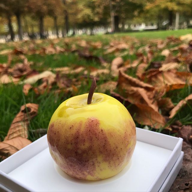 Qui a cru que c’était une vraie pomme ? Il s’agit en fait d’un des desserts hyper réalistes de @cedricgrolet le roi de la gourmandise belle, délicieuse et waou. Accessoirement meilleur chez pâtissier du monde. Un détail. Mon amie @zizoune_bijoue m’a invitée à un goûter improvisé dans les jardins des Tuilleries pour tester trois de ces merveilles. Verdict ? La pomme manquait d’acidité selon moi qui aime les pommes plus acidulées, mais c’était très bon quand même :). Le citron au yuzu était hyyyyyyper bon. Mais mon préféré c’est le Paris-Brest que j’ai trouvé orgasmique !!! J’y retournerais rien que pour lui (et ses cookies aussi, qui sont une tuerie). Avec mon amie Céline, on se disait que le plus accessible de tous les luxe, c’était la nourriture. Pas sûre un jour d’avoir une super voiture, des fringues de créateur, des bijoux à plein de zéro... (ni de le vouloir mais c’est un autre débat). En revanche, le luxe d’une pâtisserie d’un chef, c’est envisageable dans sa vie. Tant mieux, parce que c’est ce qui me fait le plus plaisir :) ! Et vous ? Ils sont où vos petits luxes abordables ? #cedricgrolet #patisseriefrancaise #reflexionspersonnelles #luxeabordable #petitsplaisirs