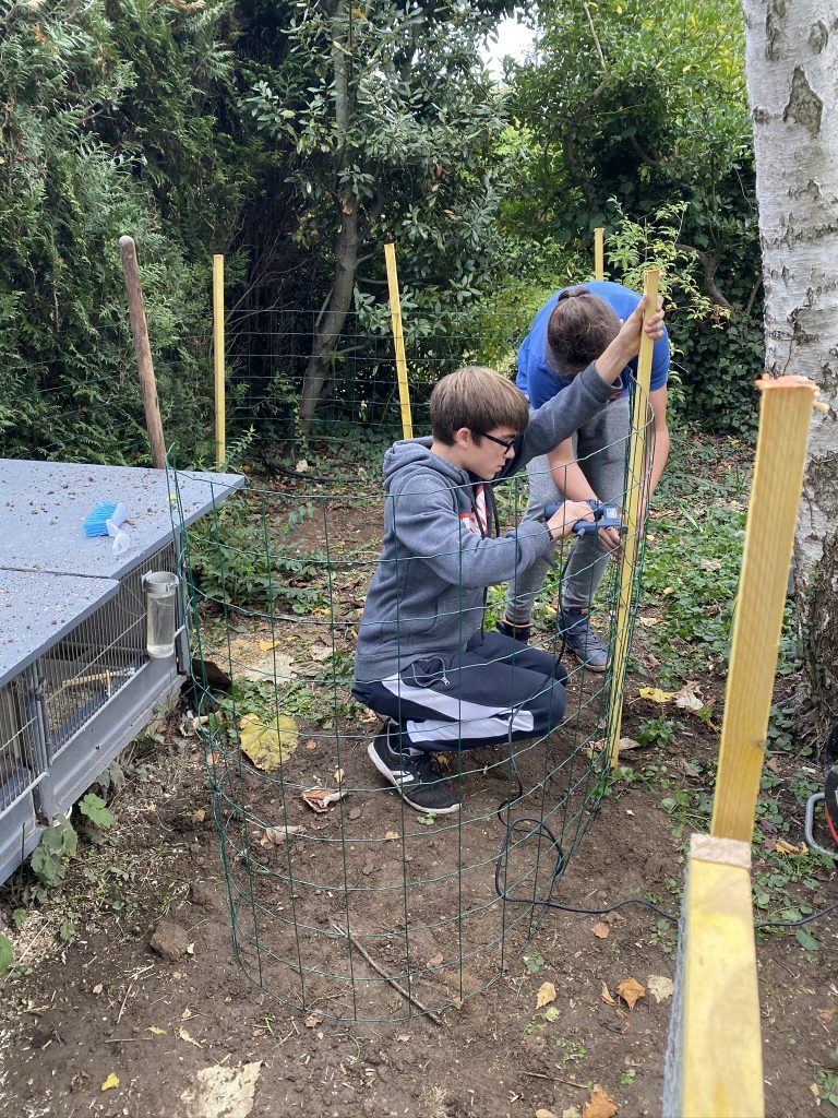 enclos à lapin extérieur