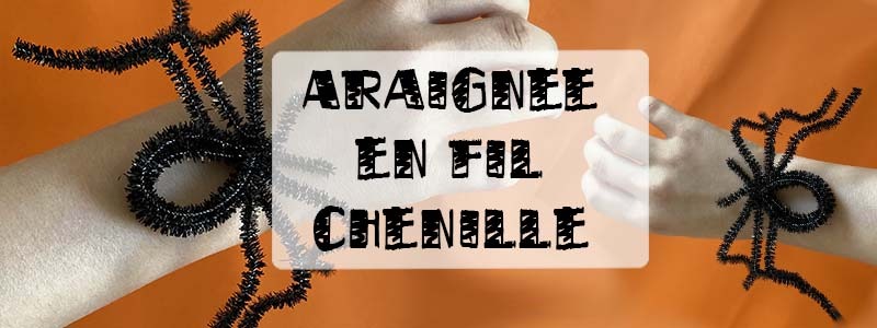 620 Pièces Chenille Loisir Creatif, 300 Fils Chenilles Loisirs Creatifs en 20 Couleurs avec 160 Yeux Vacillants Autocollants et 160 Boules en Peluche, 30cm Cure Pipe Chenille pour Projets de Créatifs