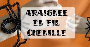 tuto araignée en fil chenille