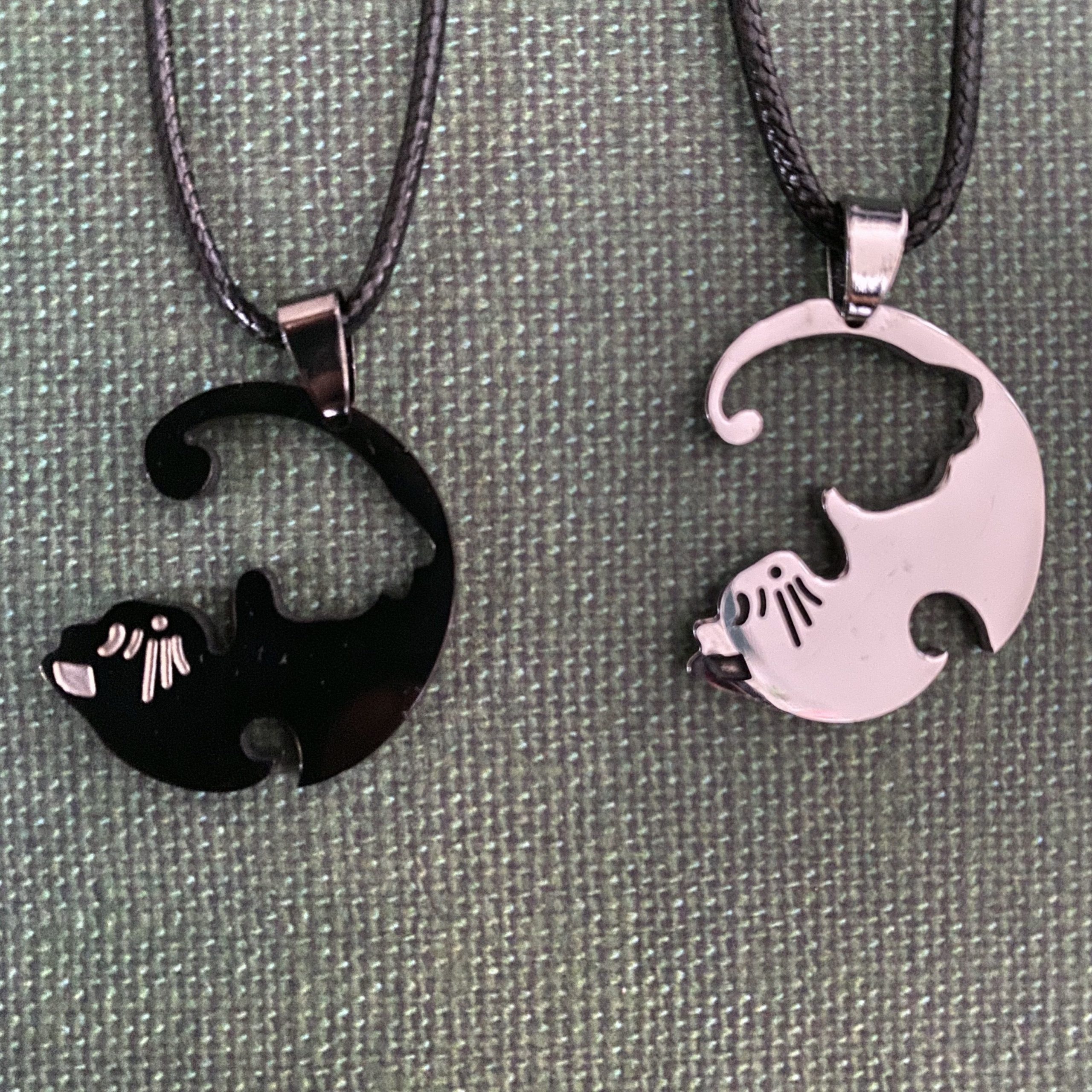 Prime Climat Tournant Collier D Amitie Chat Location Corse Calvi Com