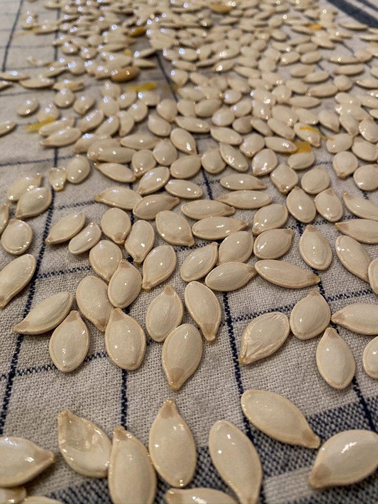 graines de courge grillées au four