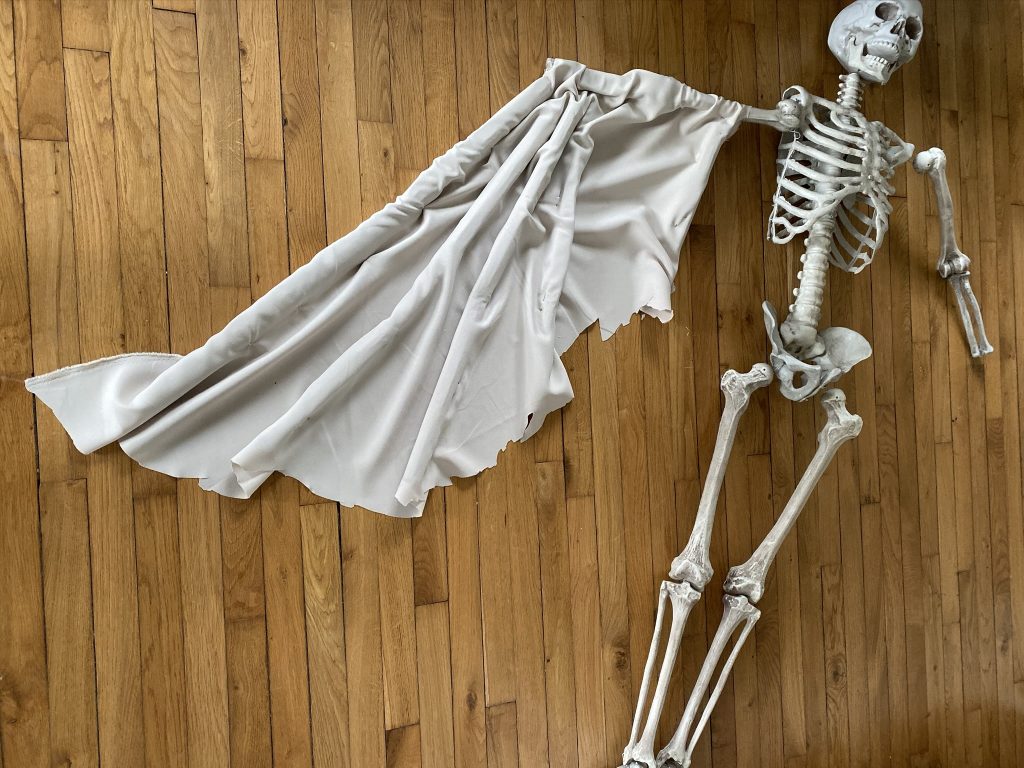 idées Halloween Fabriquer un squelette ailé
