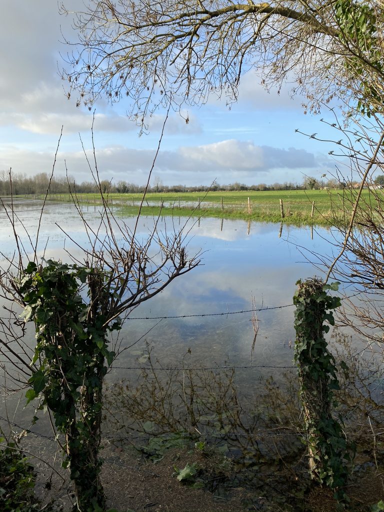 Marais poitevin