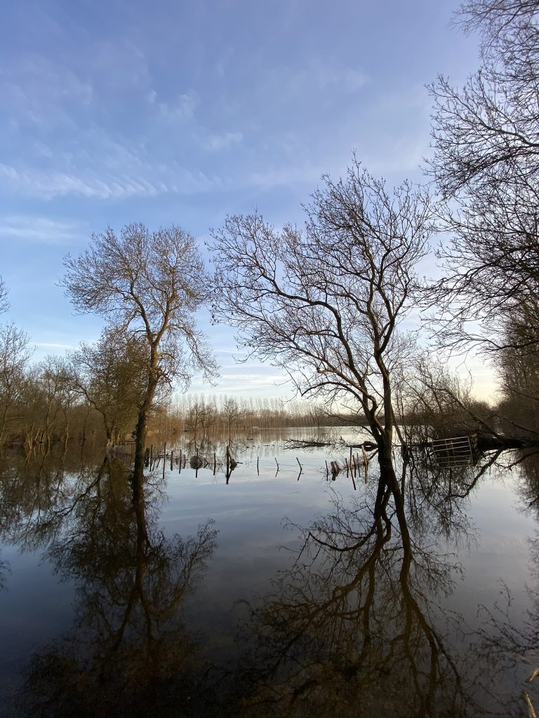 Marais poitevin