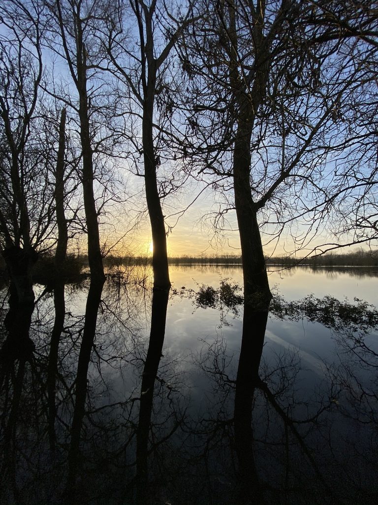 Marais poitevin