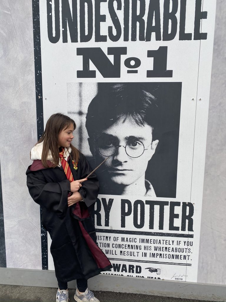 avis sur les studios Harry Potter
