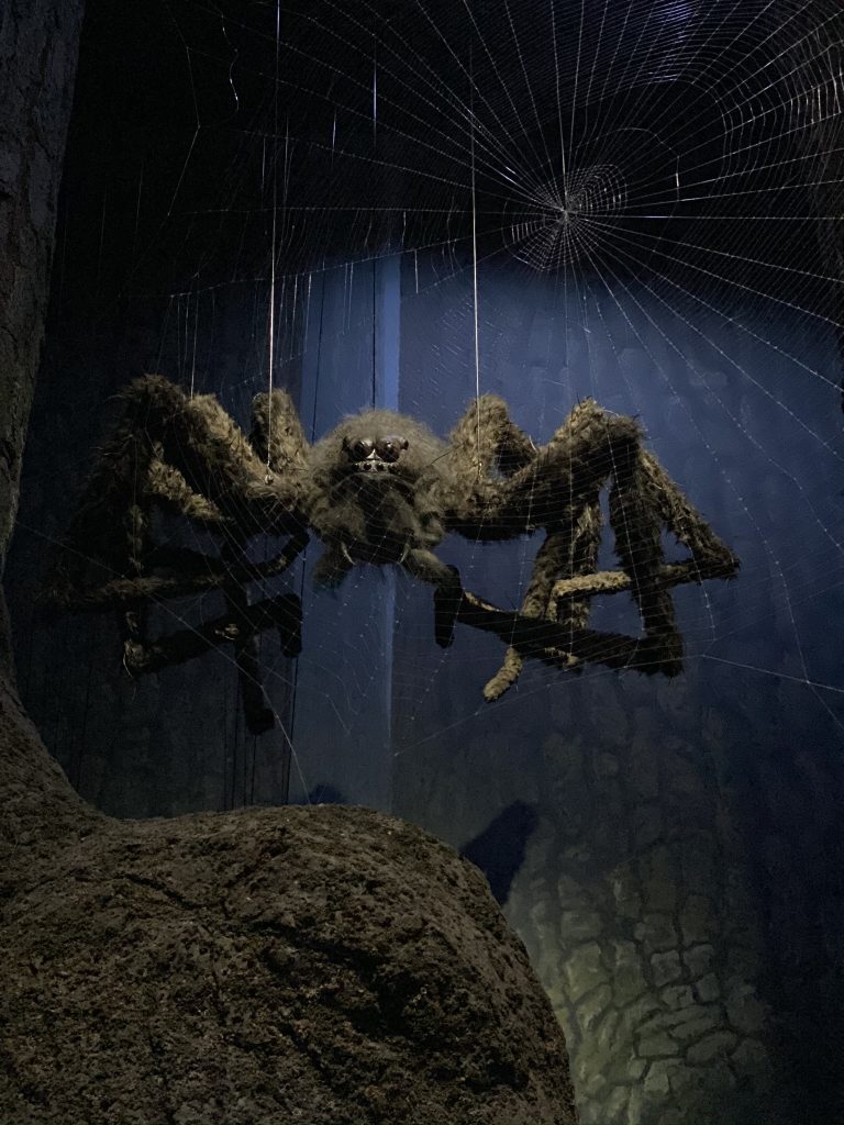 Aragog harry Potter