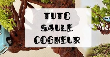 tuto saule cogneur harry potter