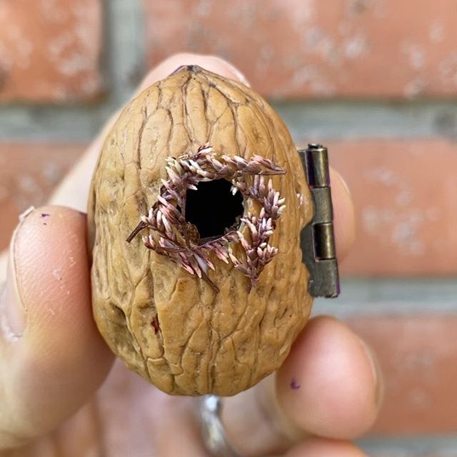 maison miniature coque de noix