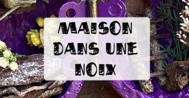 maison dans une coquille de noix