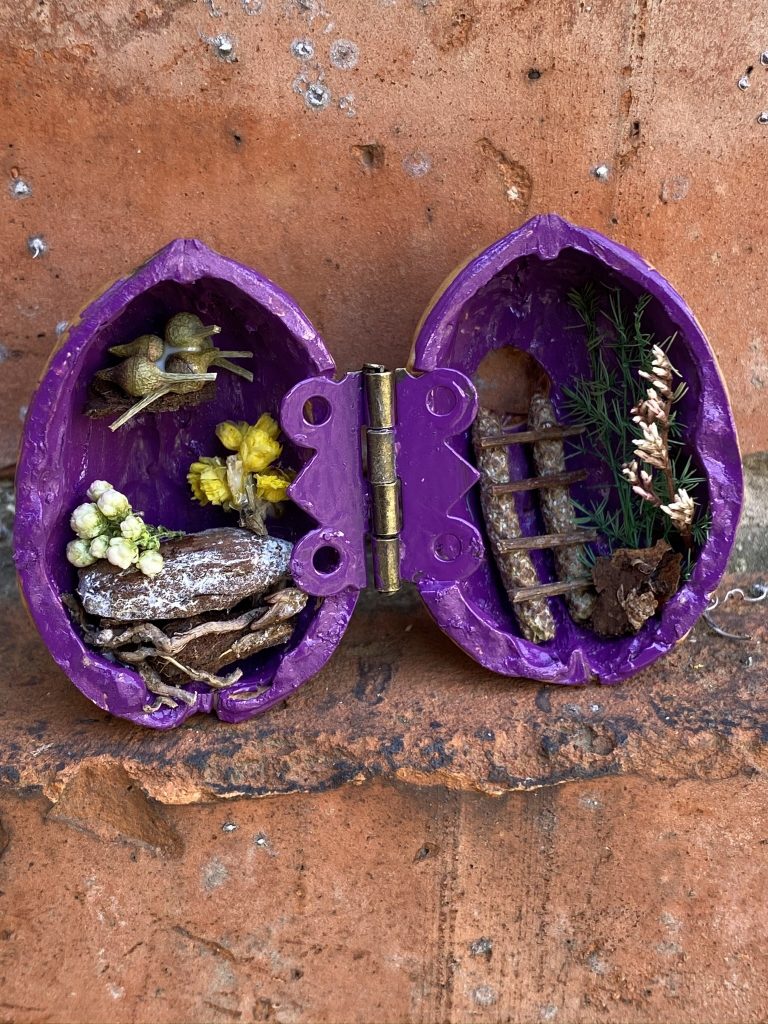 Une mini maison dans une coquille de noix