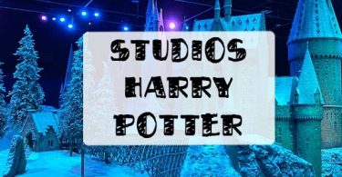 avis sur les studios harry potter