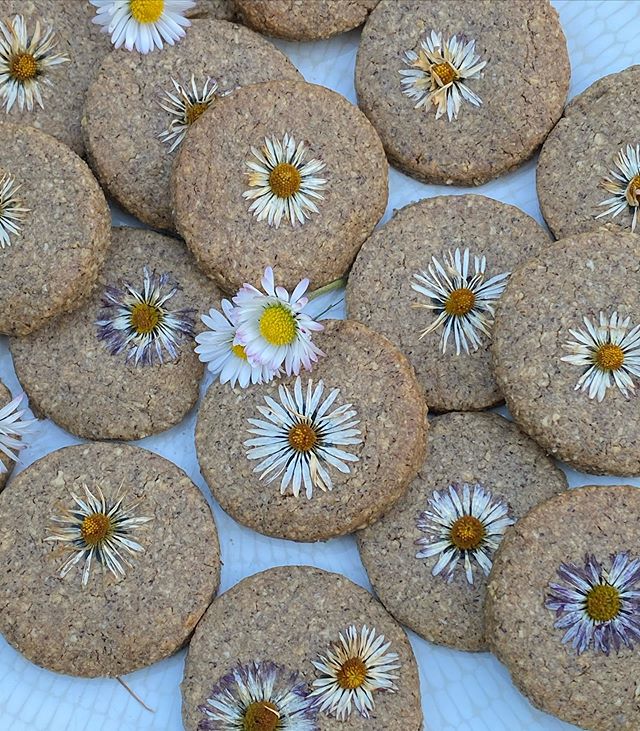 Biscuits aux pâquerettes et aux pissenlits