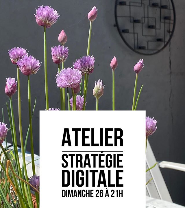 Atelier stratégie digitale gratuit - Si vous me suivez, vous connaissez certainement la blogueuse créative qui vis en moi depuis 2006 ^^. Mais qui sait que je suis également une responsable marketing de presque 20 ans d’expérience ? J’adore être cette même personne qui gagne sa vie grâce à diverses activités manuelles mais également qui accompagne des particuliers, des autoentrepreneurs ou des sociétés dans leur stratégie marketing digitale. Alors ce soir, si ça vous intéresse, je vous propose un atelier pour parler stratégie de contenu. Que publier ? Où publier ? Comment publier ? J’essayerai d’aborder un max de points et répondrai autant que possible à vos questions. Si vous avez un projet pro, c’est une bonne façon d’y réfléchir ensemble. Alors ? Qui est tenté par l’atelier ? #strategiedigitale #strategiemarketing #formationinstagram