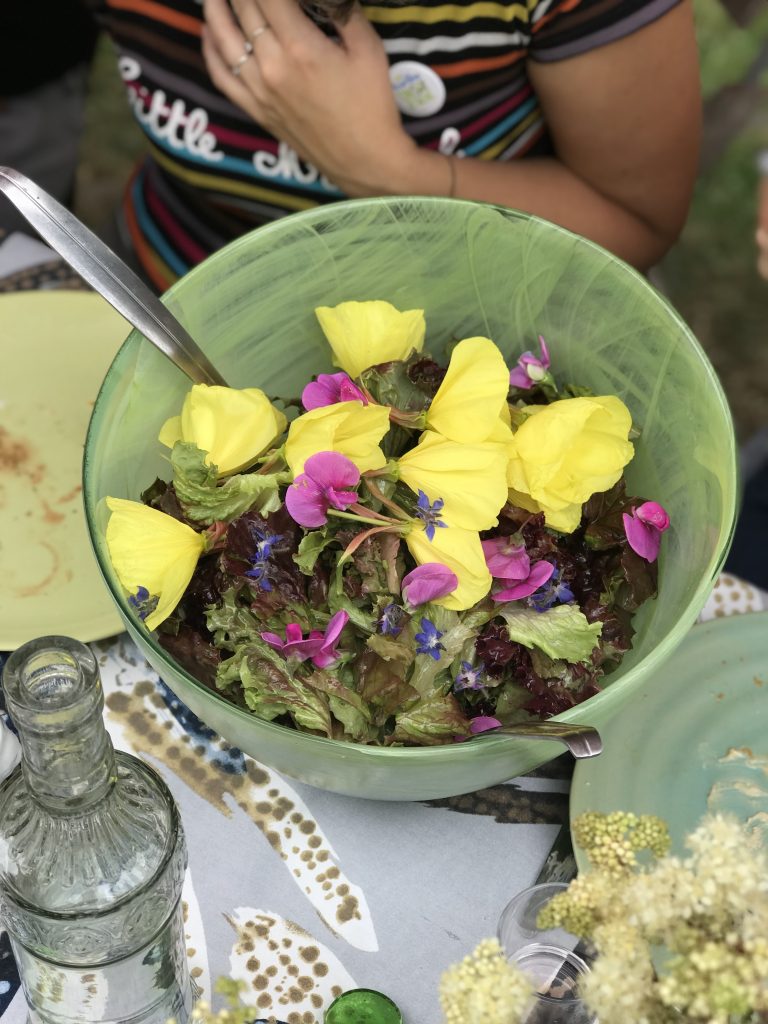 stage de cuisine aux plantes sauvages