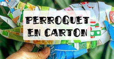 perroquet en carton alimentaire