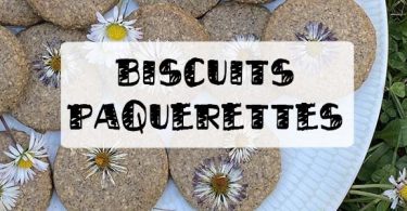 recette biscuits pâquerettes