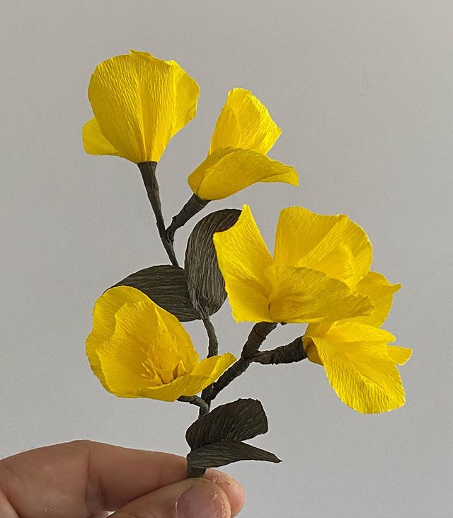 Si les fleurs ne sont plus périssables, alors ça veut dire que je n’aurai plus de bonbons ??? Arg... ça ne m’arrange pas trop cette histoire de papier crépon finalement ! Parce que c’est tellement bon les bonbons, même si c’est pas toujours présentable. Bref... c’était mon bricolage en 10 minutes du jour, pour ne pas jeter les restes d’une fleur plus grosse mais qui doit rester secrète pour le moment :). Sinon, j’en profite pour faire un point « Ciloubidouille joue à la marchande » : j’ai publié un article sur des colliers dessinés par bibi à acheter sur mon blog. Et j’ai refait des stocks de clitoris... Dernière surprise, j’ai même mis en vente des boucle d’oreille clitoris ! J’espère que quelque chose vous plaira :). #croisagededoigts #papiercrepon #fleurenpapiercrepon #crepepaperflowers #crepepaper #jemusclemacréativité #ciloubidouille