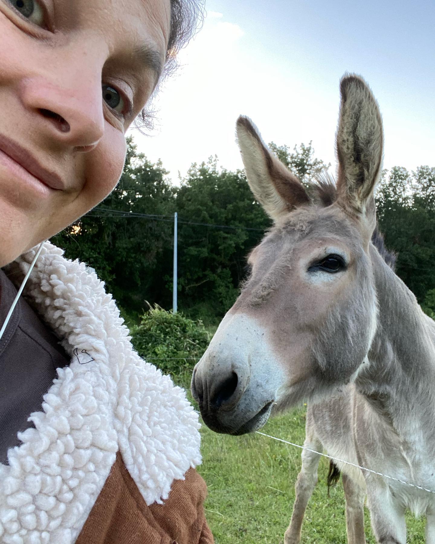 cilou à la campagne