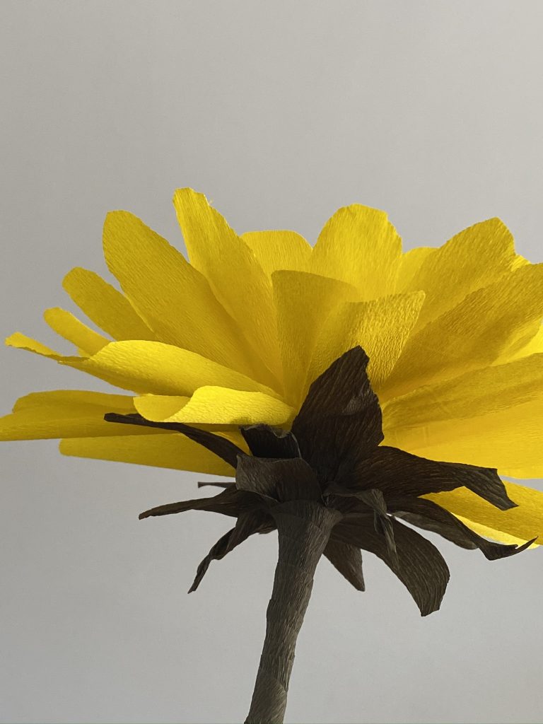 fabriquer un tournesol en papier crépon