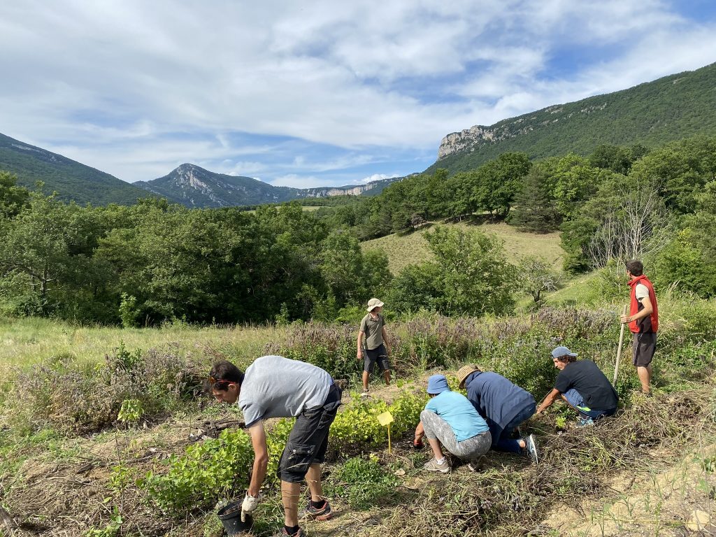 université des alvéoles permaculture