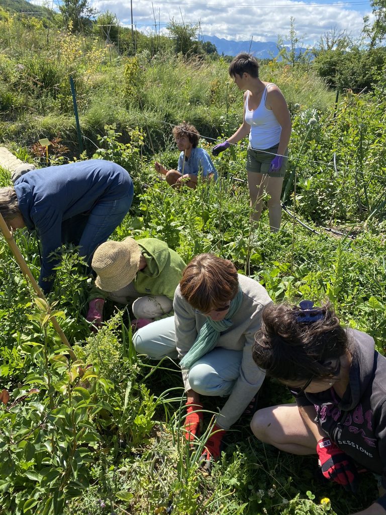 La grelinette, outil magique du potager en permaculture