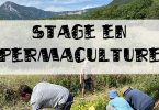 stage en permaculture