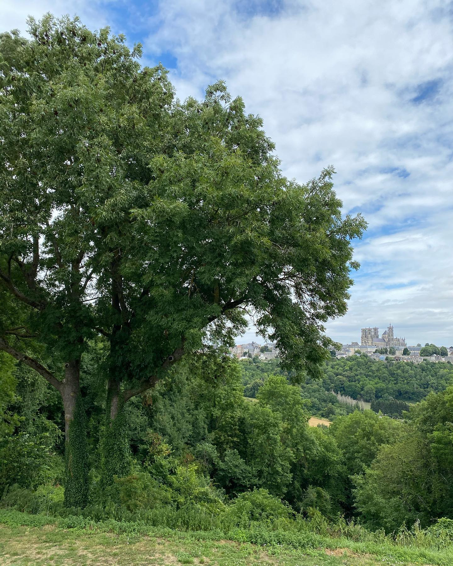 Journée à Laon