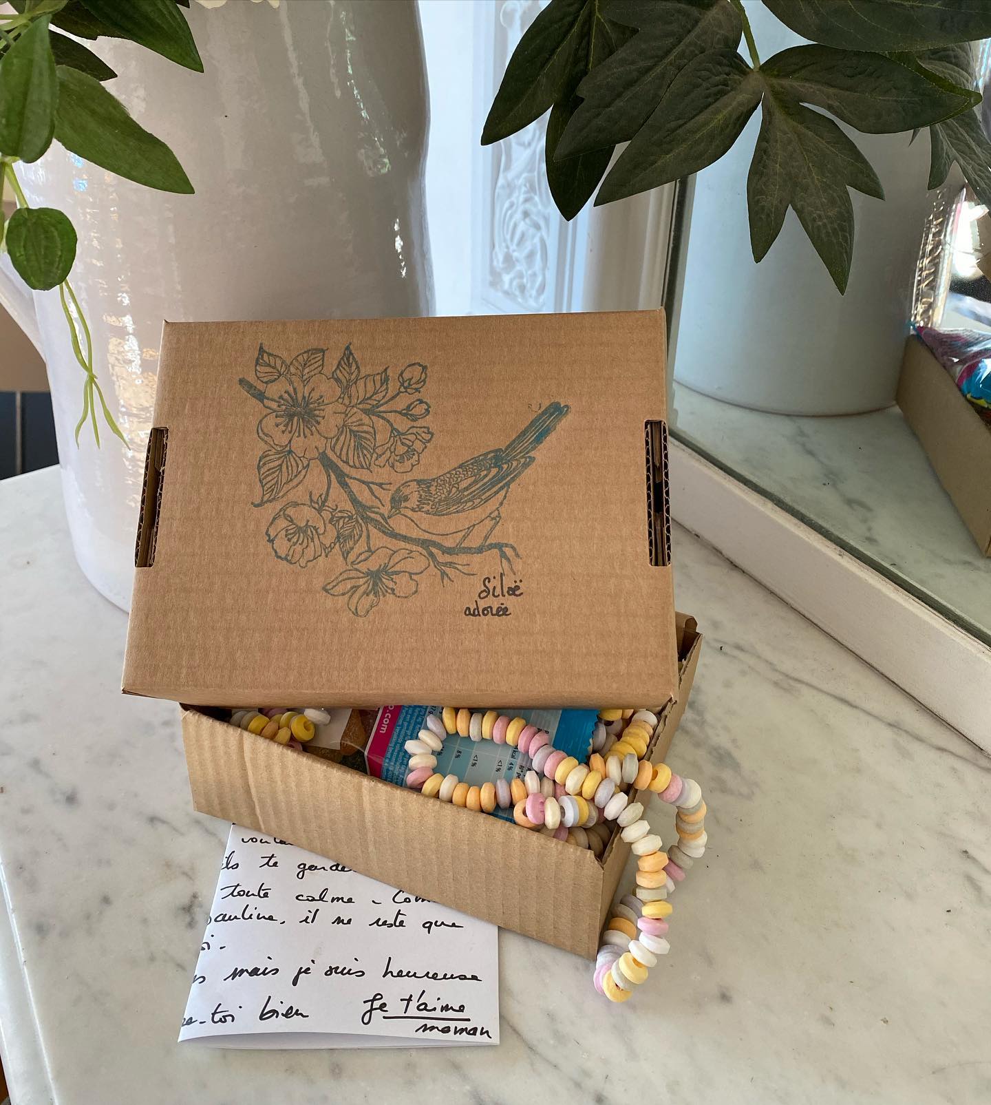 Un colis surprise pour la colonie à glisser dans la valise 10 107460092 292032091852279 5224284588710252709 n