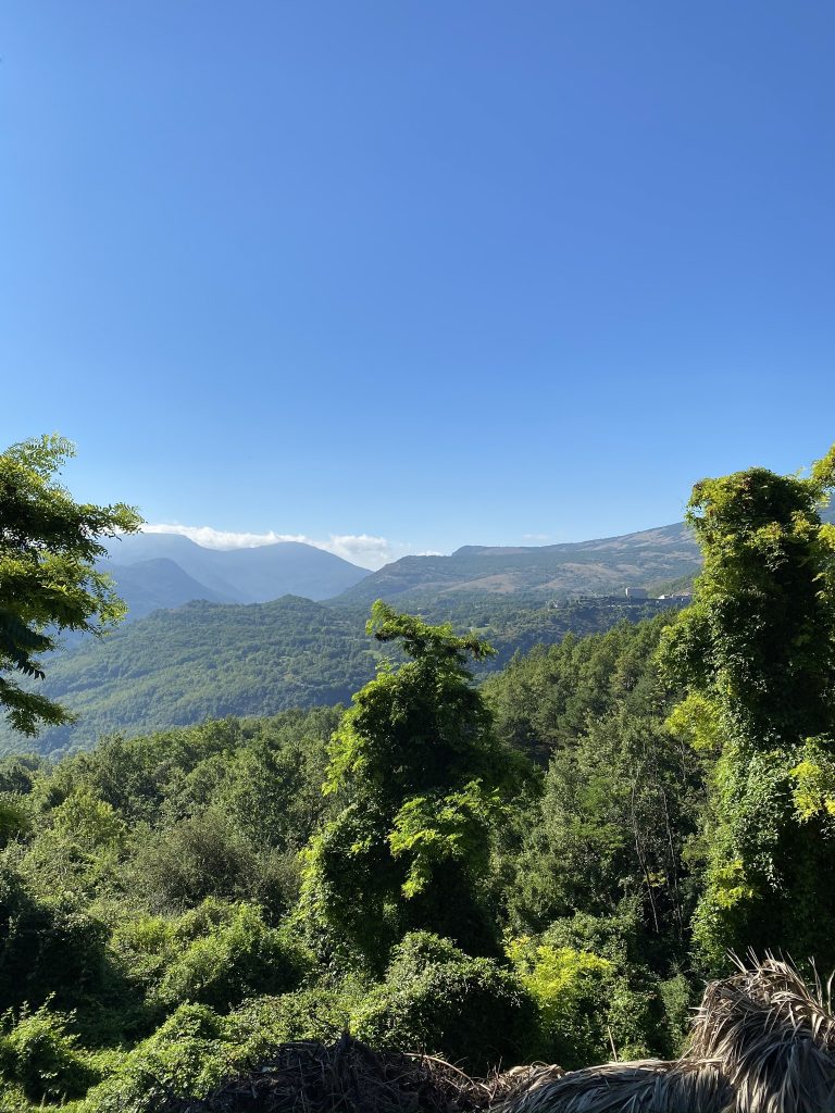 Journée dans les gorges du Verdon