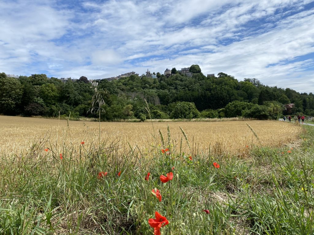 L'Aisne en vacances : visite de Laon 14 cuve de Saint Vincent laon