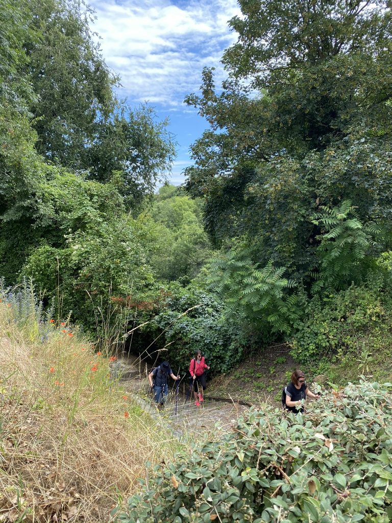 L'Aisne en vacances : visite de Laon 16 cuve de Saint Vincent laon