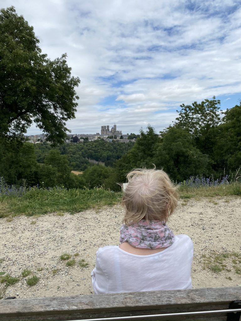 L'Aisne en vacances : visite de Laon 18 cuve de Saint Vincent laon