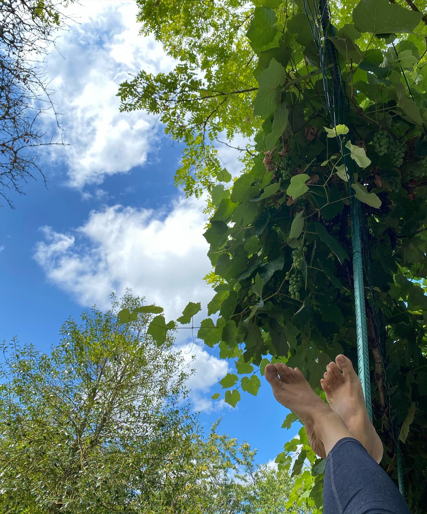 Sieste avec vue chez mes parents