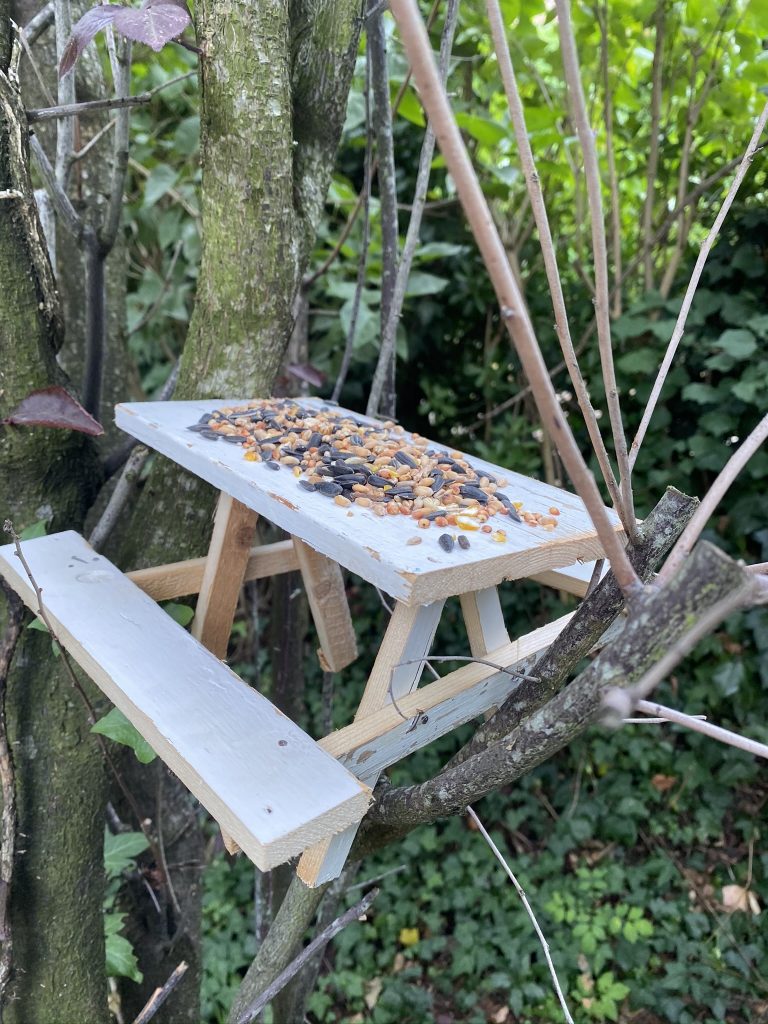 Table pique-nique mangeoire à oiseaux