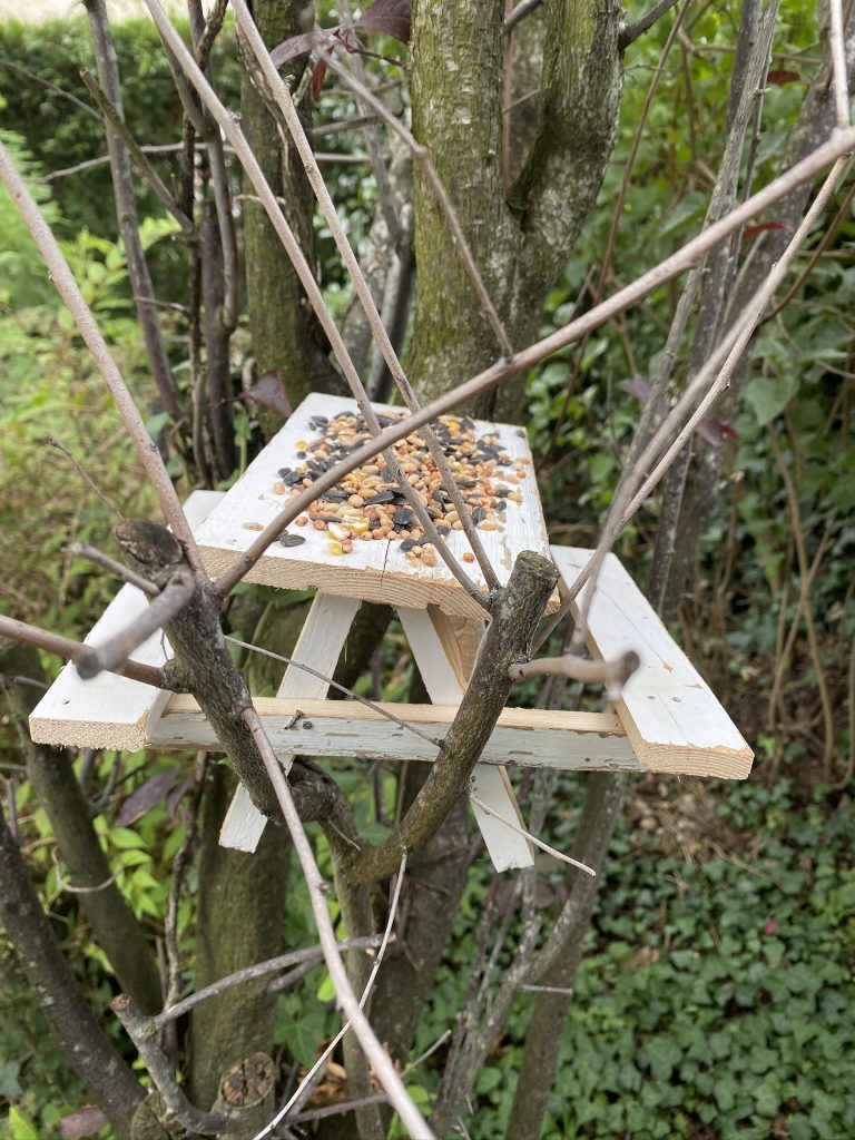 Table de pique-nique décureuil, mangeoire décureuil, mini table de  pique-nique, épi de maïs, mangeoire à bois, mangeoire à oiseaux, tamias,  faune, décor darrière-cour, cadeau -  Canada