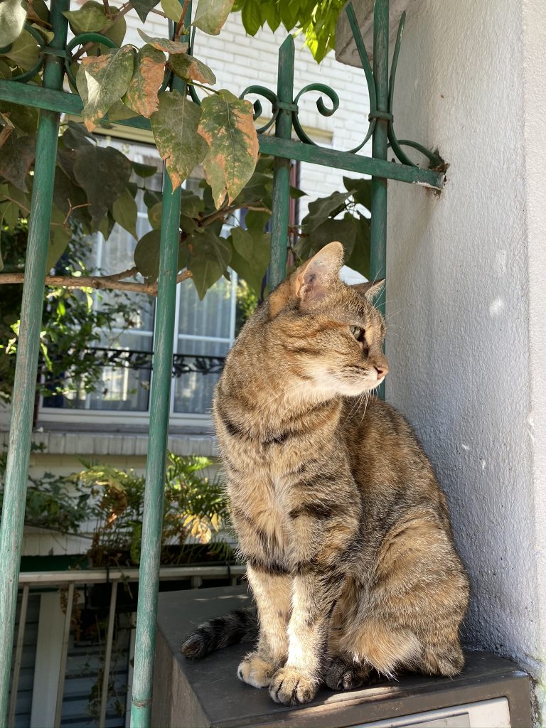 Visite de Paris 13 6 IMG 2980