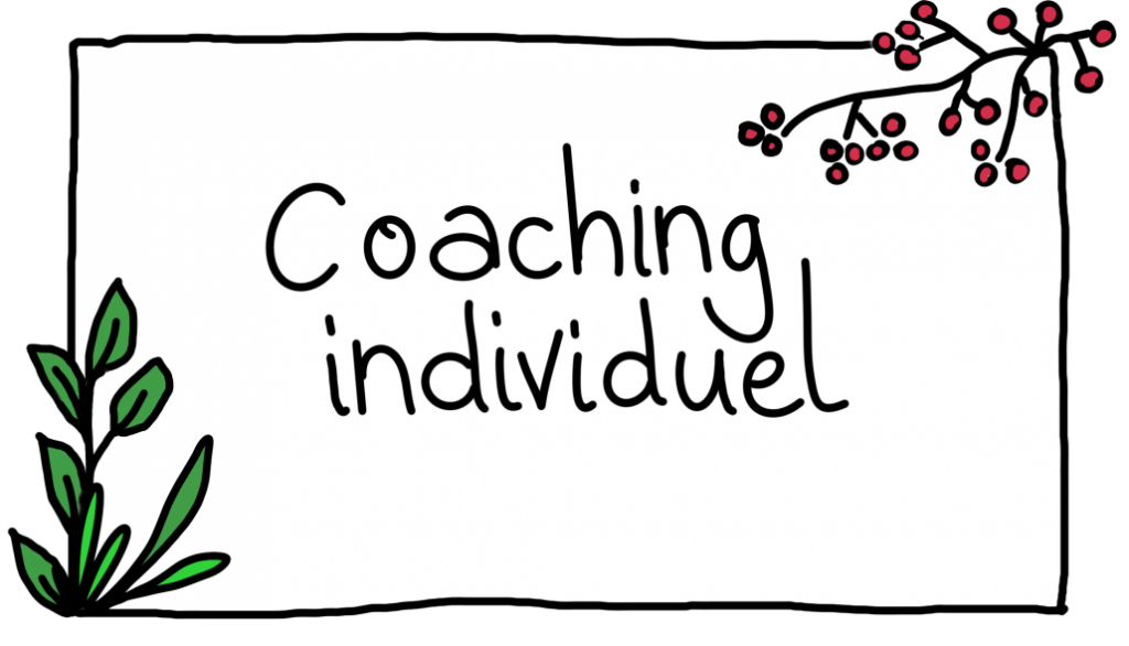 coaching individuel 1 1030x589 2